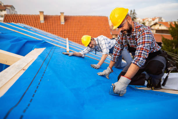 Best Storm Damage Roof Repair  in Mount Ora, OH