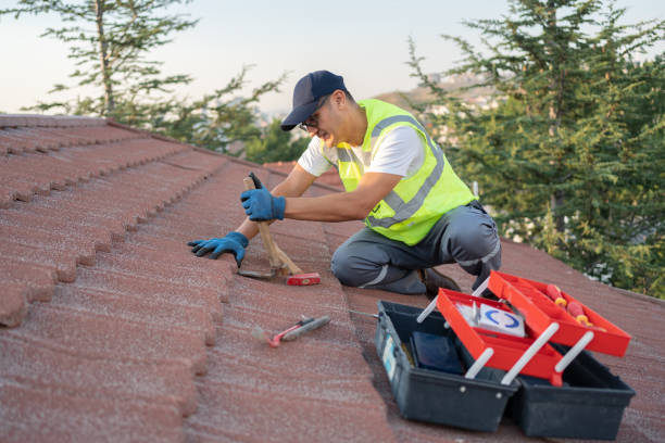 Best Roof Repair Services  in Mount Ora, OH